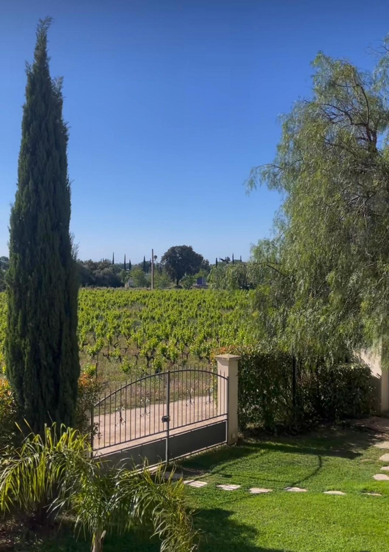 Chateau De La Clapiere Hyères المظهر الخارجي الصورة