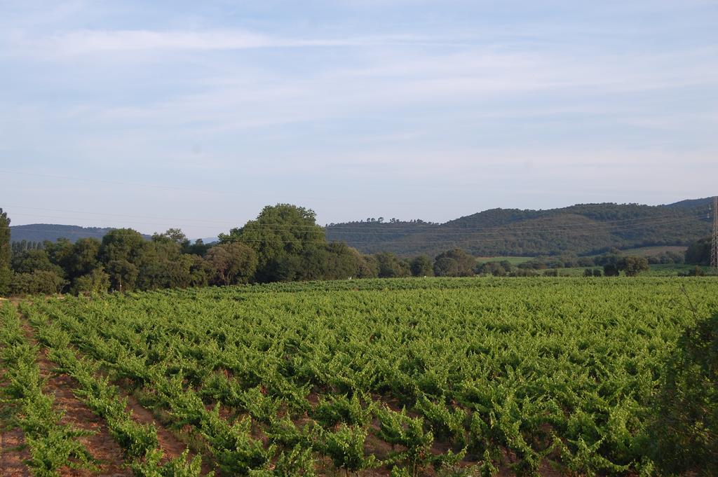 Chateau De La Clapiere Hyères المظهر الخارجي الصورة